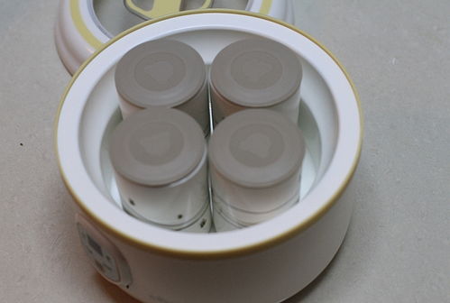 汽车小熊水杯多少毫升